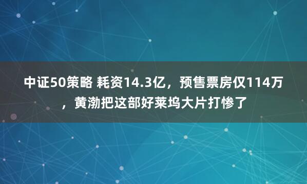 中证50策略 耗资14.3亿，预售票房仅114万，黄渤把这部好莱坞大片打惨了