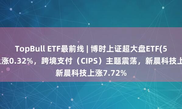 TopBull ETF最前线 | 博时上证超大盘ETF(510020)上涨0.32%，跨境支付（CIPS）主题震荡，新晨科技上涨7.72%